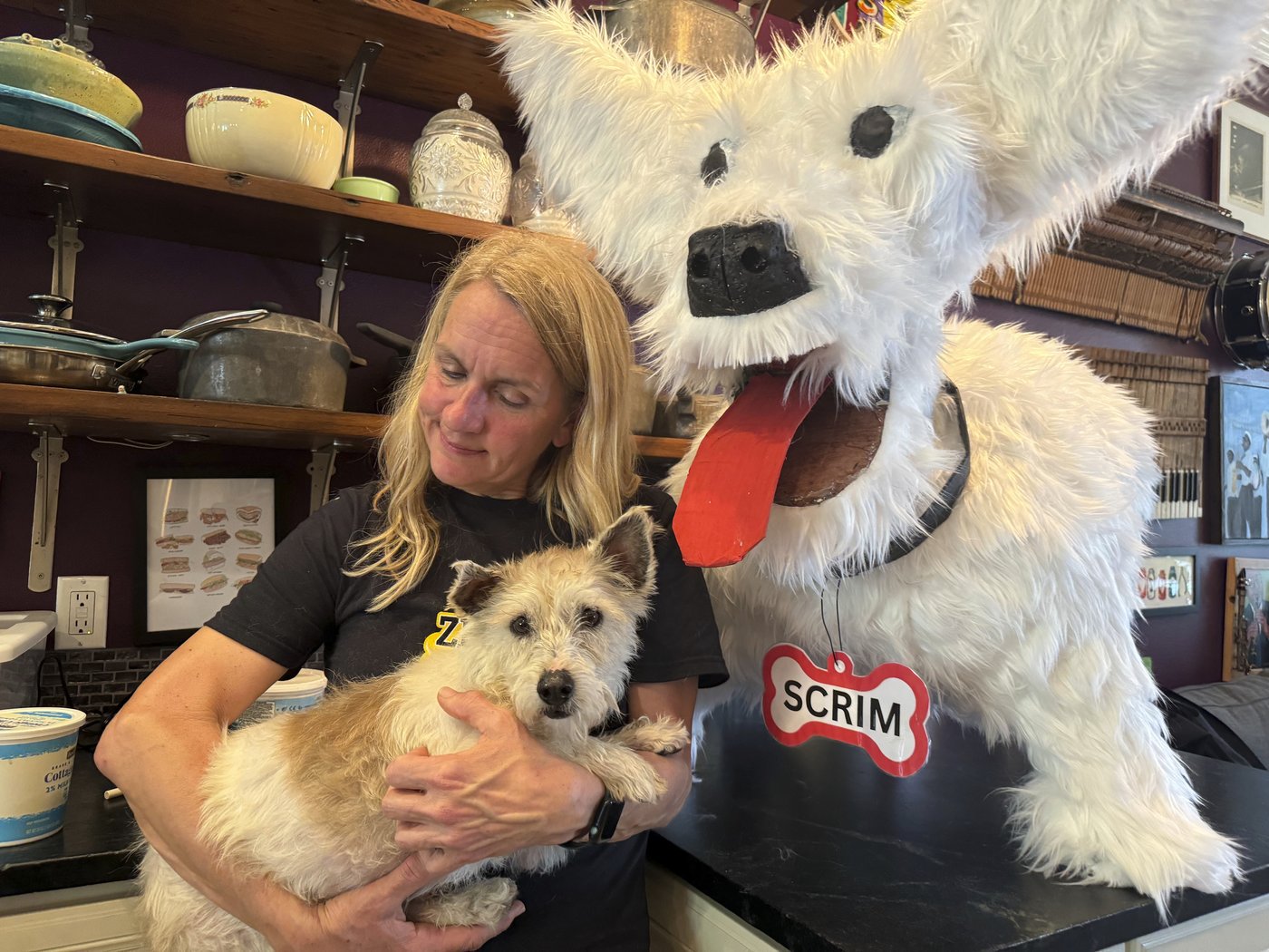 Fugitive dog recaptured in New Orleans after gaining national fame for escapades | iNFOnews.ca