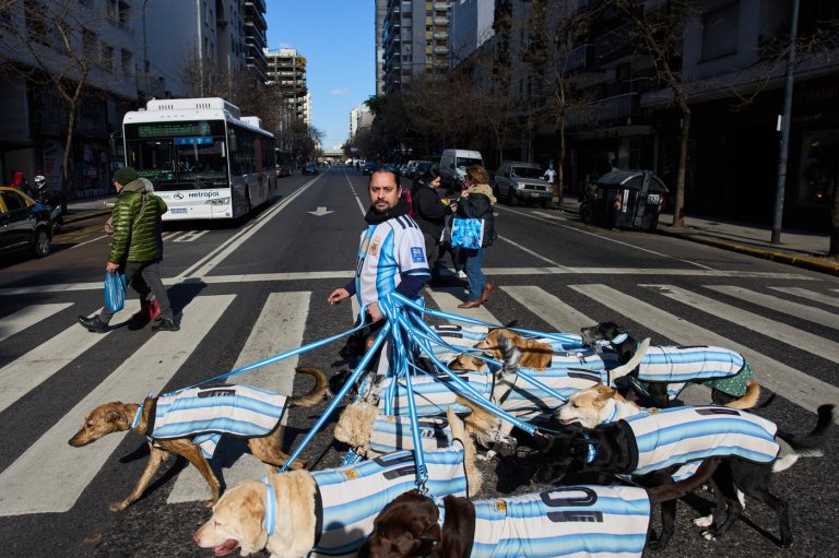 Puppy love as dog walker turns his pack of 13 into Argentina jersey-clad World Cup followers | iNFOnews.ca
