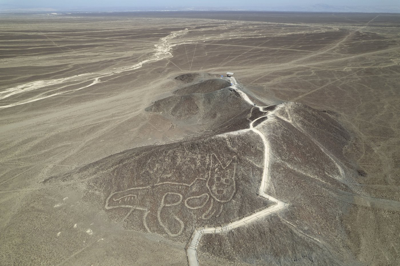 Peru reduces Nazca Lines park by 42%, raising concerns over environmental and heritage risks | iNFOnews.ca