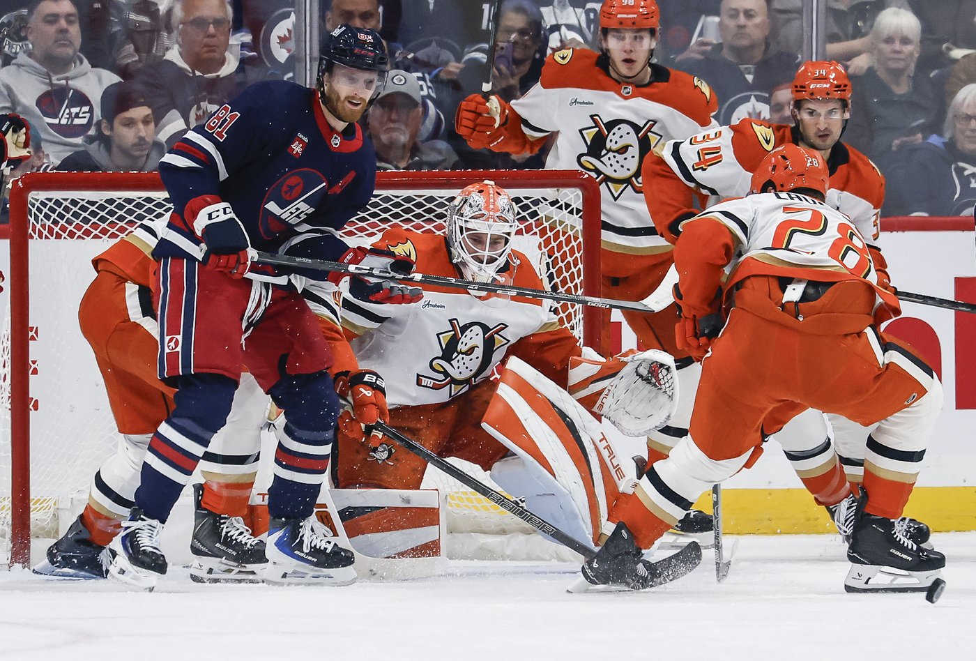 Caulfield helps Ducks ground the Jets 5-1 | iNFOnews.ca Caulfield helps Ducks ground the Jets 5-1 | iNFOnews.ca