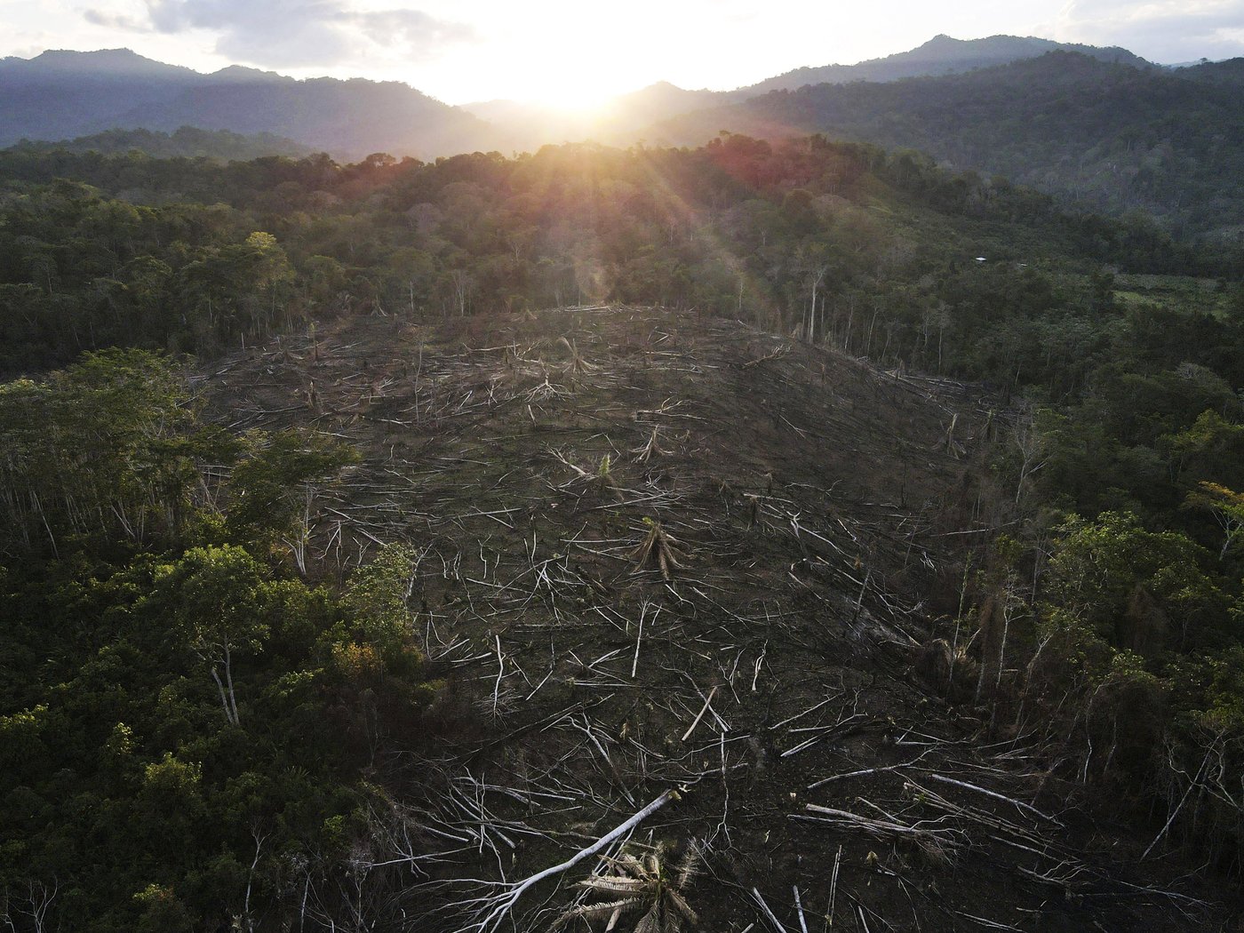 Amazon Indigenous community wins latest stage of court battle for lost territory | iNFOnews.ca