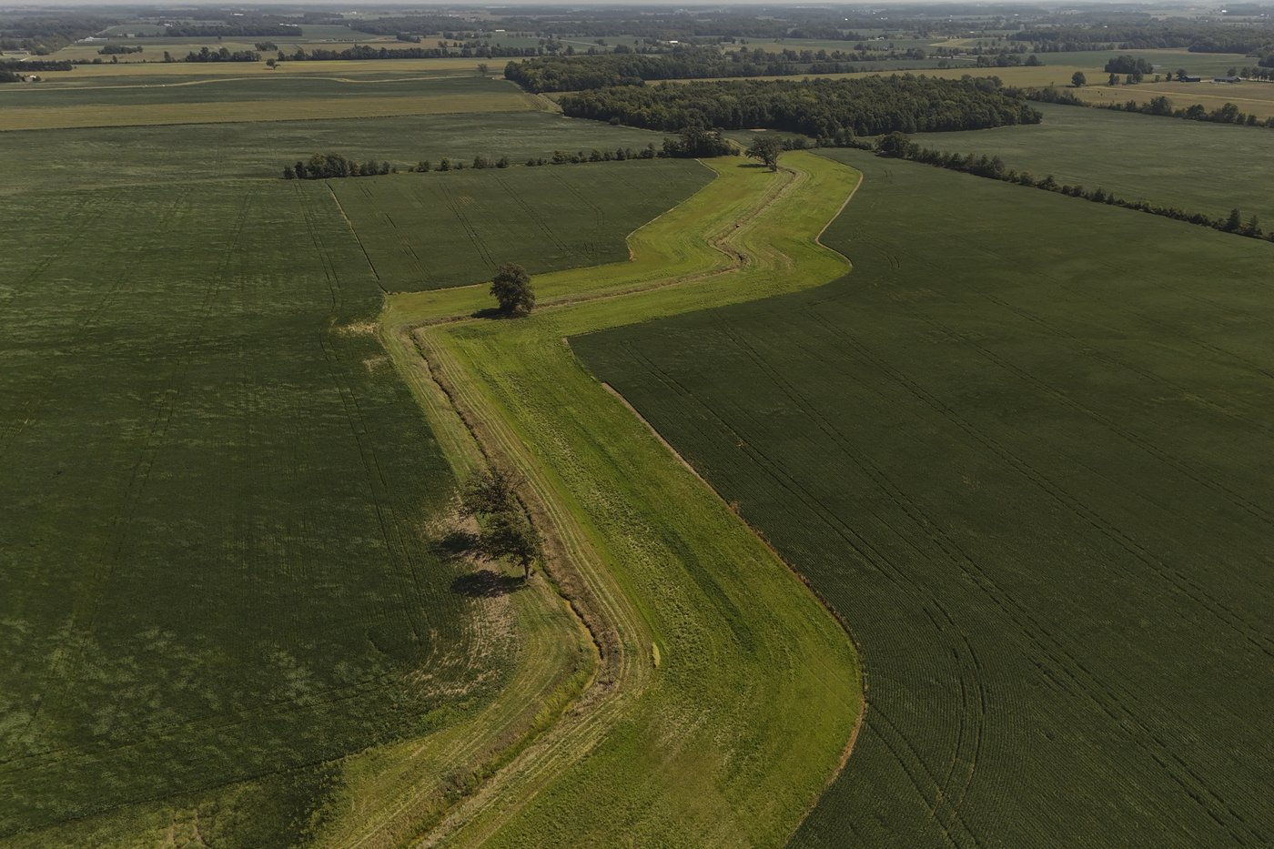 On Lake Erie, getting rid of problem algae starts with giving it less food | iNFOnews.ca