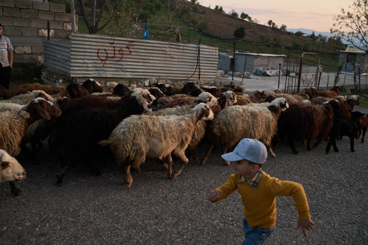 Tradition and worry at an iftar gathering near the Iran-Iraq border in photos | iNFOnews.ca