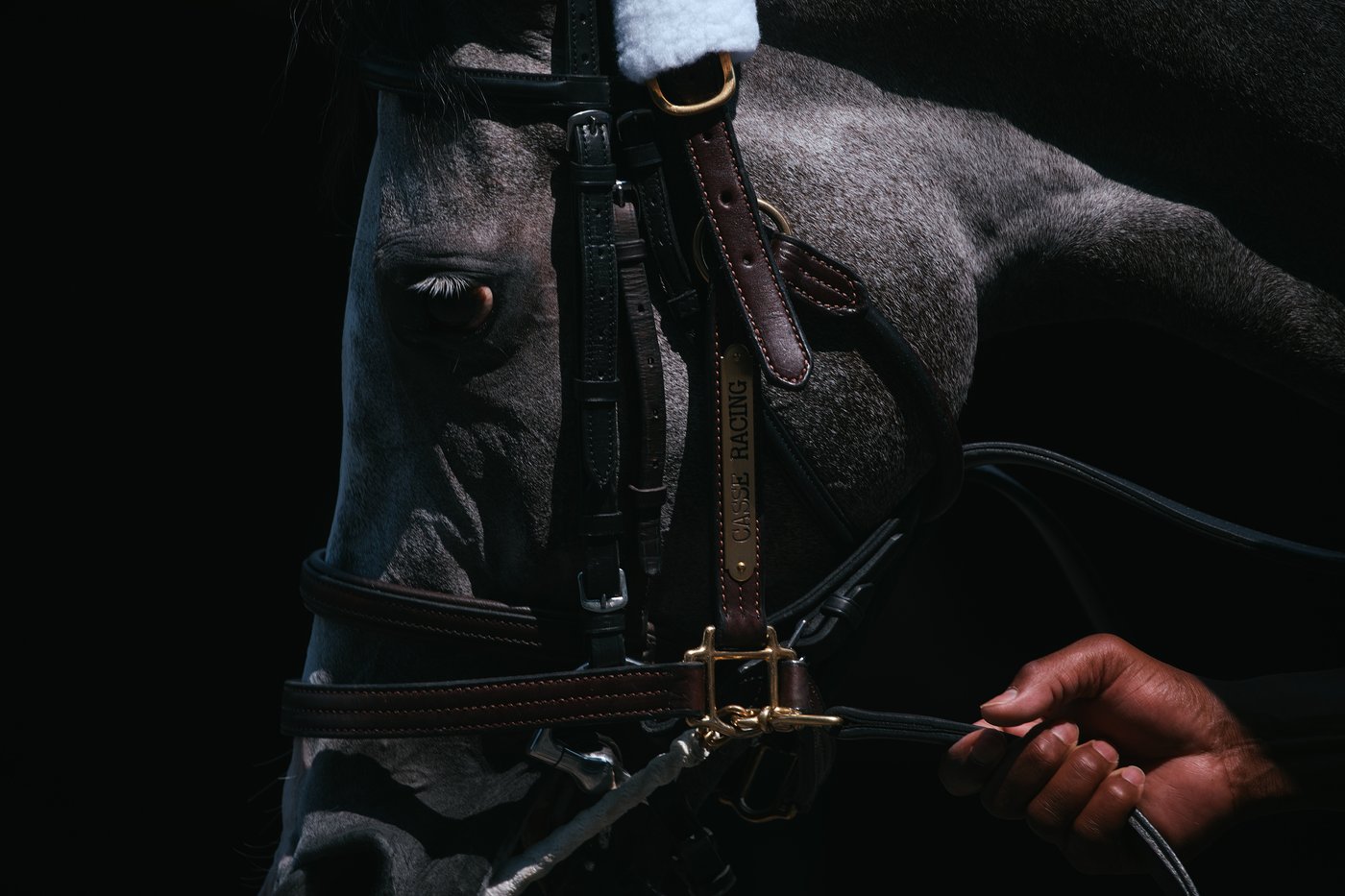 PHOTO ESSAY: Aqueduct Race Track closes after 'A Good Run' of over 130 years | iNFOnews.ca