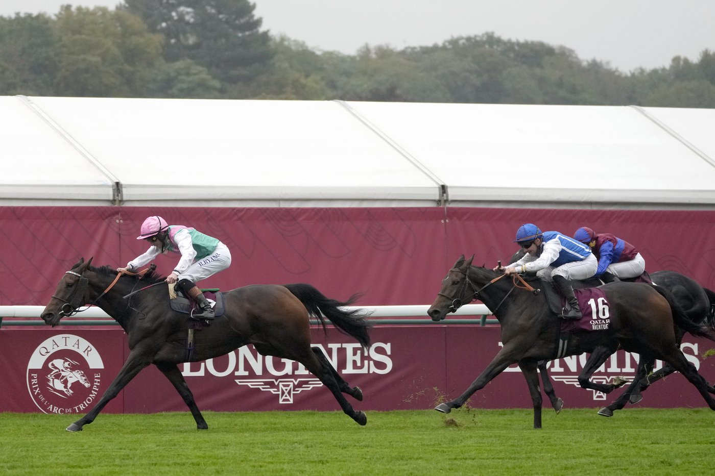 Late entry Bluestocking wins Prix de l’Arc de Triomphe | iNFOnews.ca