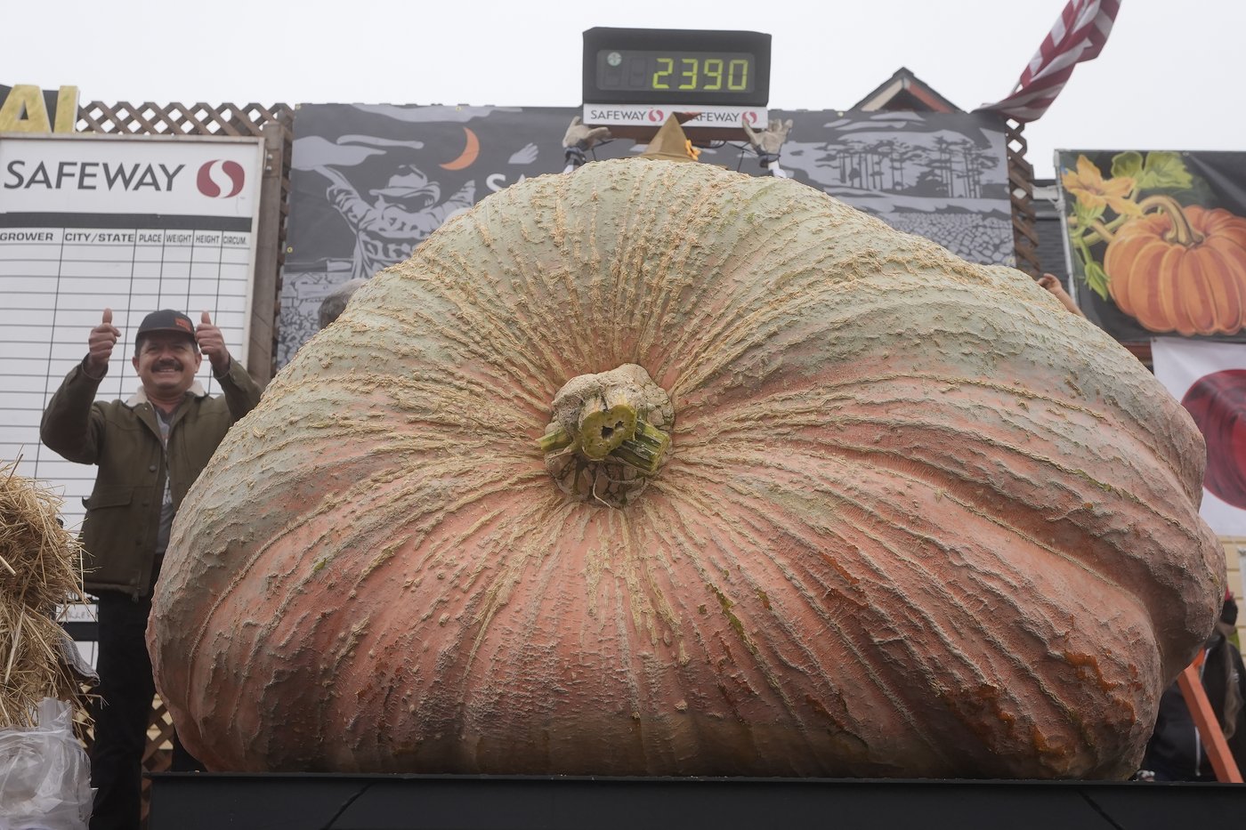 Pumpkin weighing 2,471 pounds wins California contest | iNFOnews.ca