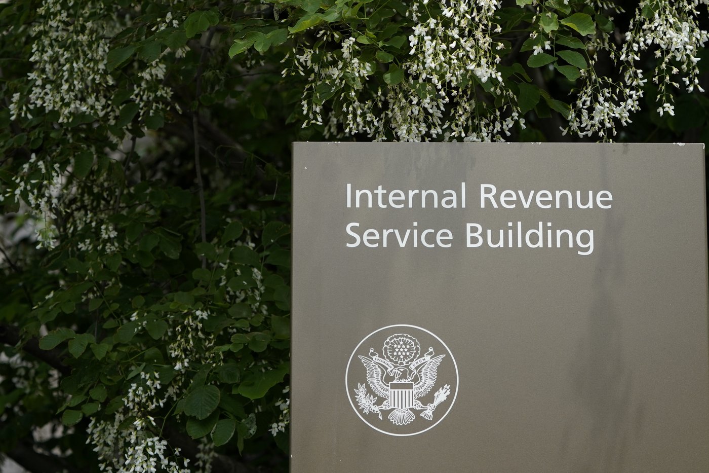 A watchdog report flags security risks in the IRS-ICE taxpayer data-sharing deal | iNFOnews.ca