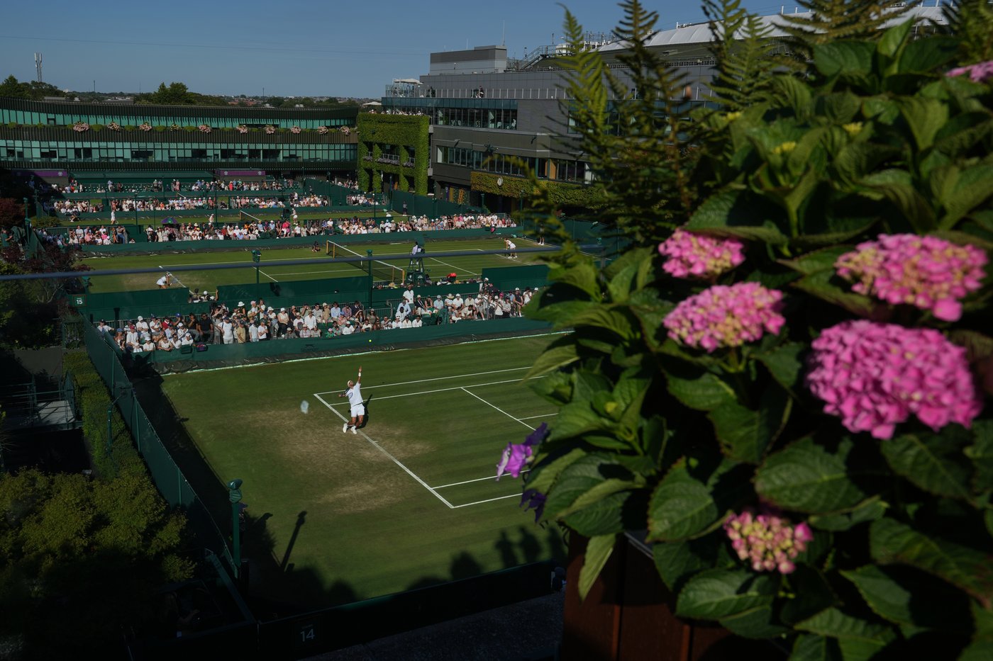 German player disqualified from Wimbledon’s junior tournament for throwing racket into the stands | iNFOnews.ca