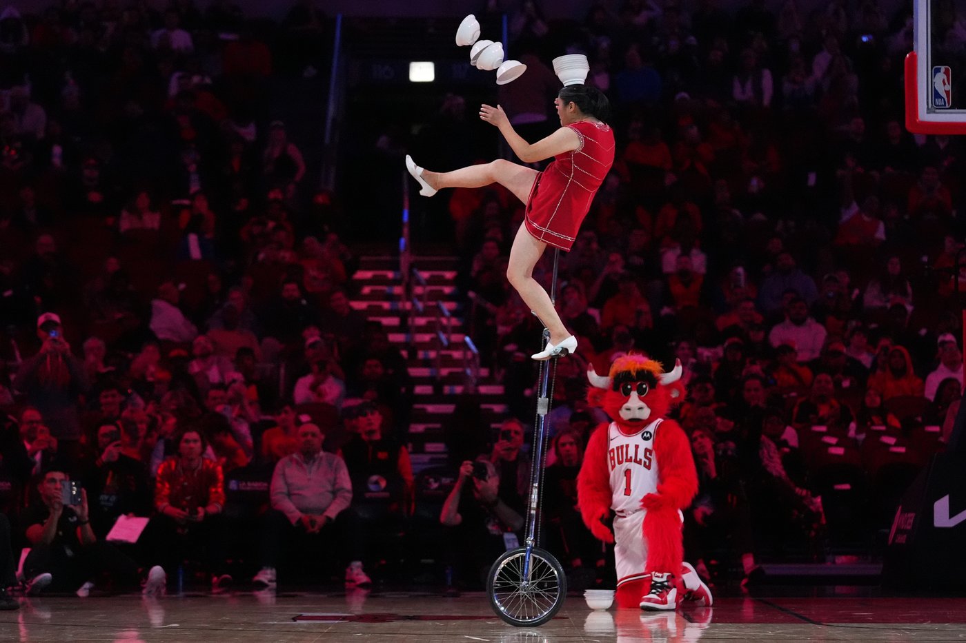 Popular performer Red Panda makes NBA return, roughly 4 months after breaking wrist in fall | iNFOnews.ca