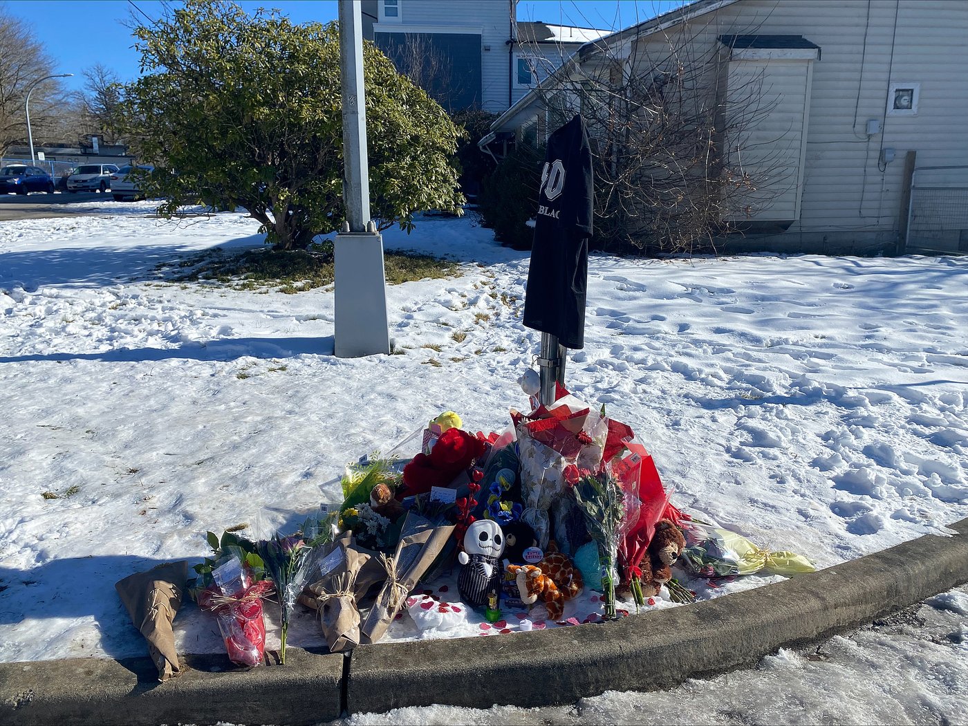 'Wouldn't even hurt a fly': Memorial grows for B.C. teen shot dead by police | iNFOnews.ca 'Wouldn't even hurt a fly': Memorial grows for B.C. teen shot dead by police | iNFOnews.ca