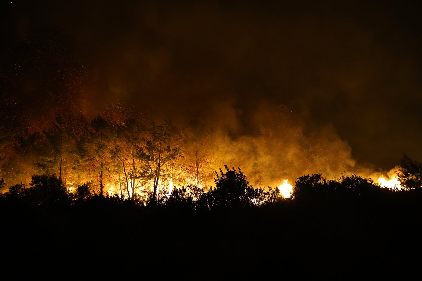 A wind-fueled wildfire forces hundreds from homes in Turkey as firefighters battle flames | iNFOnews.ca