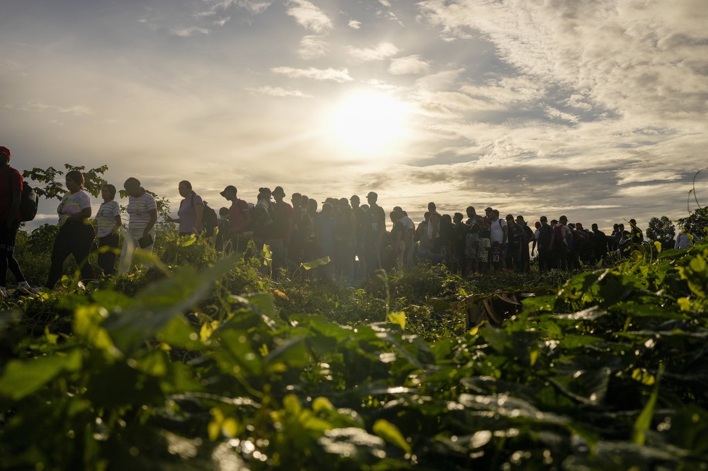 PHOTO COLLECTION: Election 2024 Immigration | iNFOnews.ca PHOTO COLLECTION: Election 2024 Immigration | iNFOnews.ca