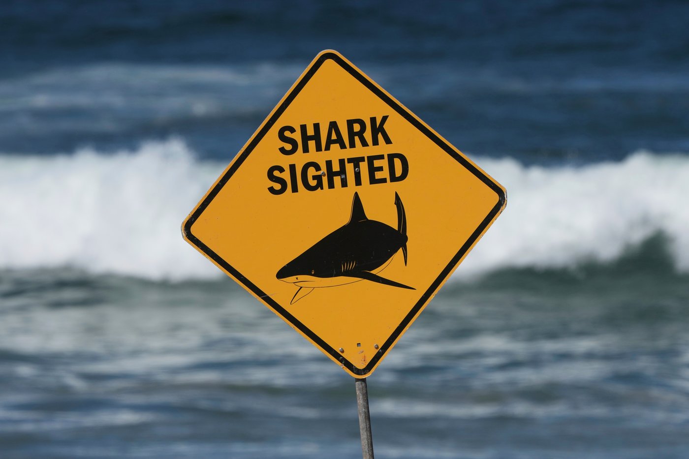 A shark kills a woman and seriously wounds another swimmer at an Australian beach | iNFOnews.ca A shark kills a woman and seriously wounds another swimmer at an Australian beach | iNFOnews.ca