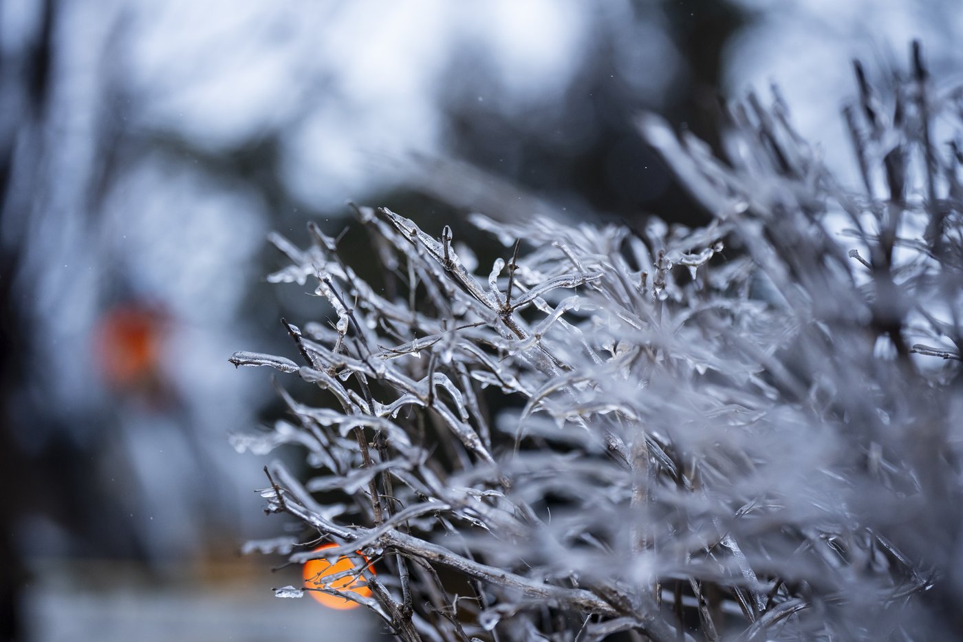About 8,300 customers still without power in Quebec after ice storm | iNFOnews.ca About 8,300 customers still without power in Quebec after ice storm | iNFOnews.ca