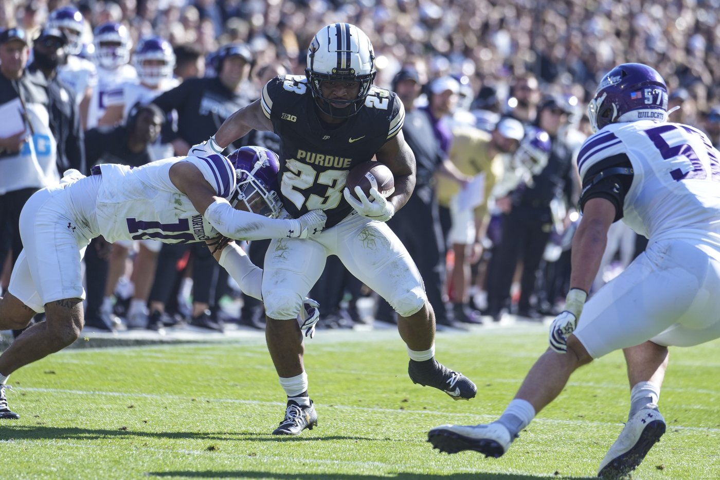 Coach Day challenges No. 3 Ohio State to keep the intensity high when Purdue visits the Horseshoe | iNFOnews.ca