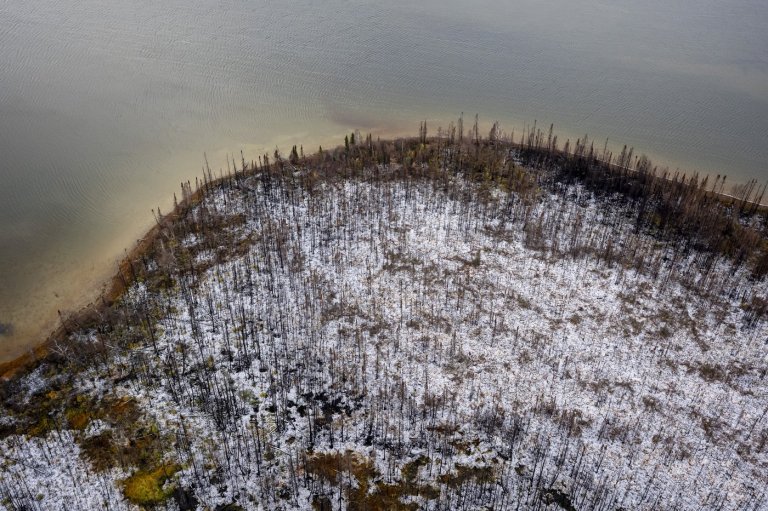 Fact File: Does banning glyphosate prevent wildfires? Here's what we know | iNFOnews.ca