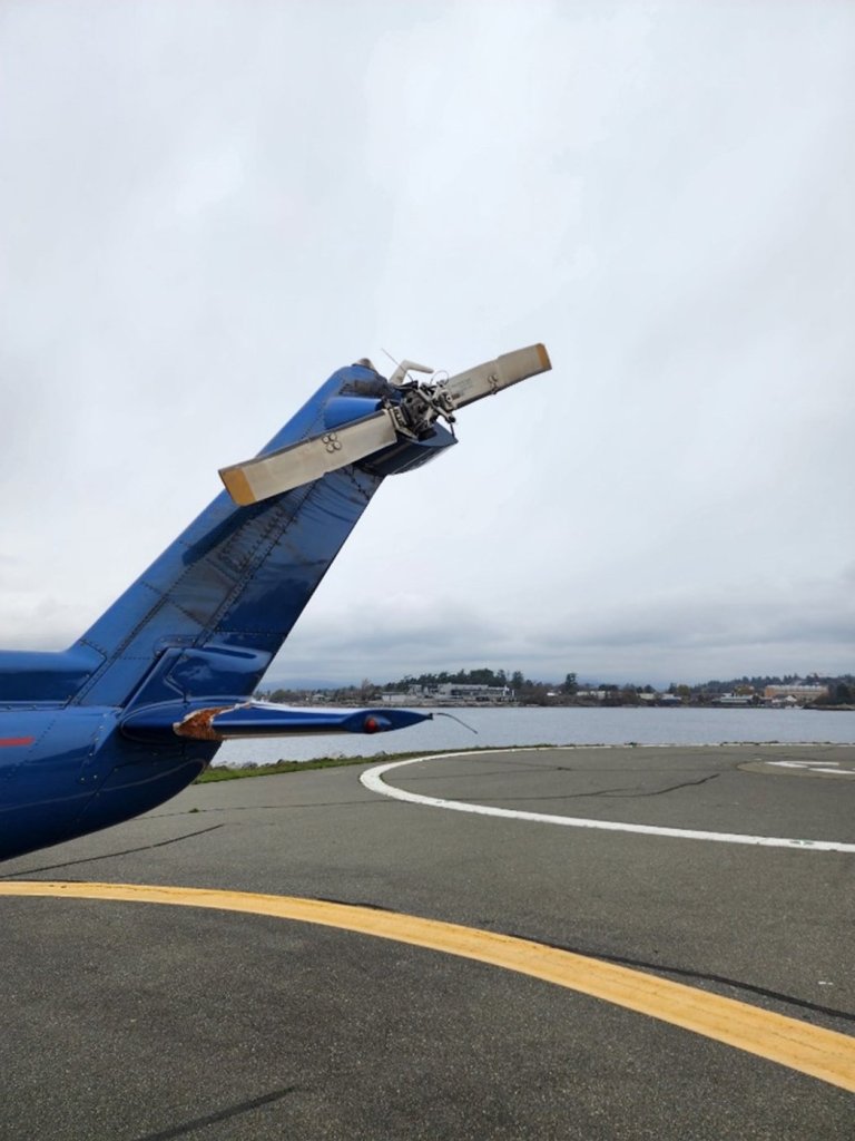 Helijet chopper hit by helicopter-induced lightning, setting off plunge: TSB report | iNFOnews.ca