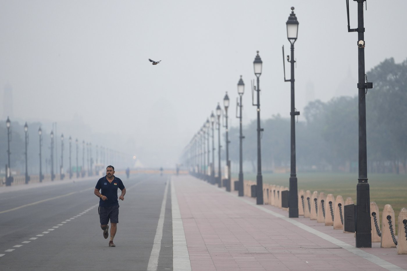 Toxic smog cloaks India's capital as Diwali firecrackers push air pollution to hazardous levels | iNFOnews.ca