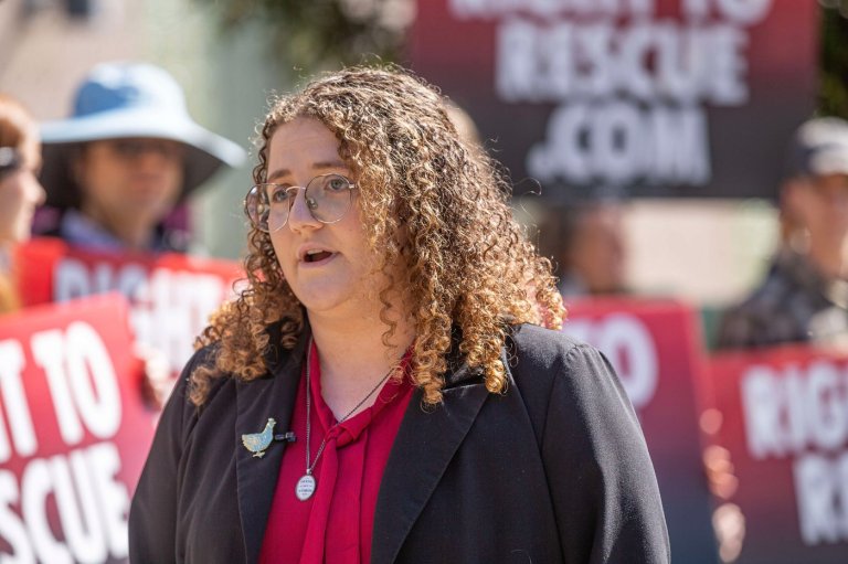 Trial of a California woman who stole chickens puts slaughter houses in national spotlight | iNFOnews.ca Trial of a California woman who stole chickens puts slaughter houses in national spotlight | iNFOnews.ca