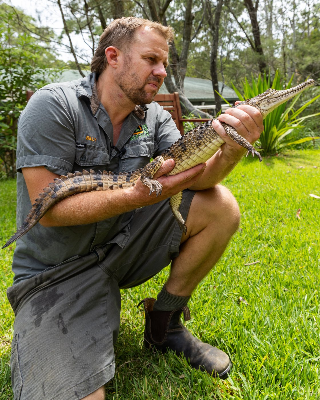 Crocodile caught in an Australian creek 1,200 miles from its tropical habitat | iNFOnews.ca Crocodile caught in an Australian creek 1,200 miles from its tropical habitat | iNFOnews.ca
