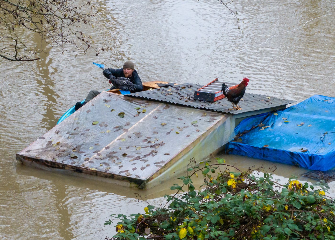 Historic rains and flooding trigger dramatic rescues in Washington state | iNFOnews.ca