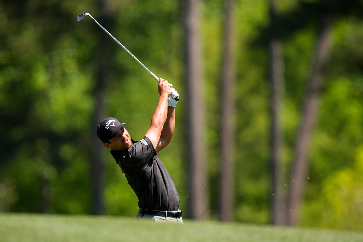 Xander Schauffele's shot lands in a viewer's merchandise bag. It didn't stop him from making par | iNFOnews.ca Xander Schauffele's shot lands in a viewer's merchandise bag. It didn't stop him from making par | iNFOnews.ca