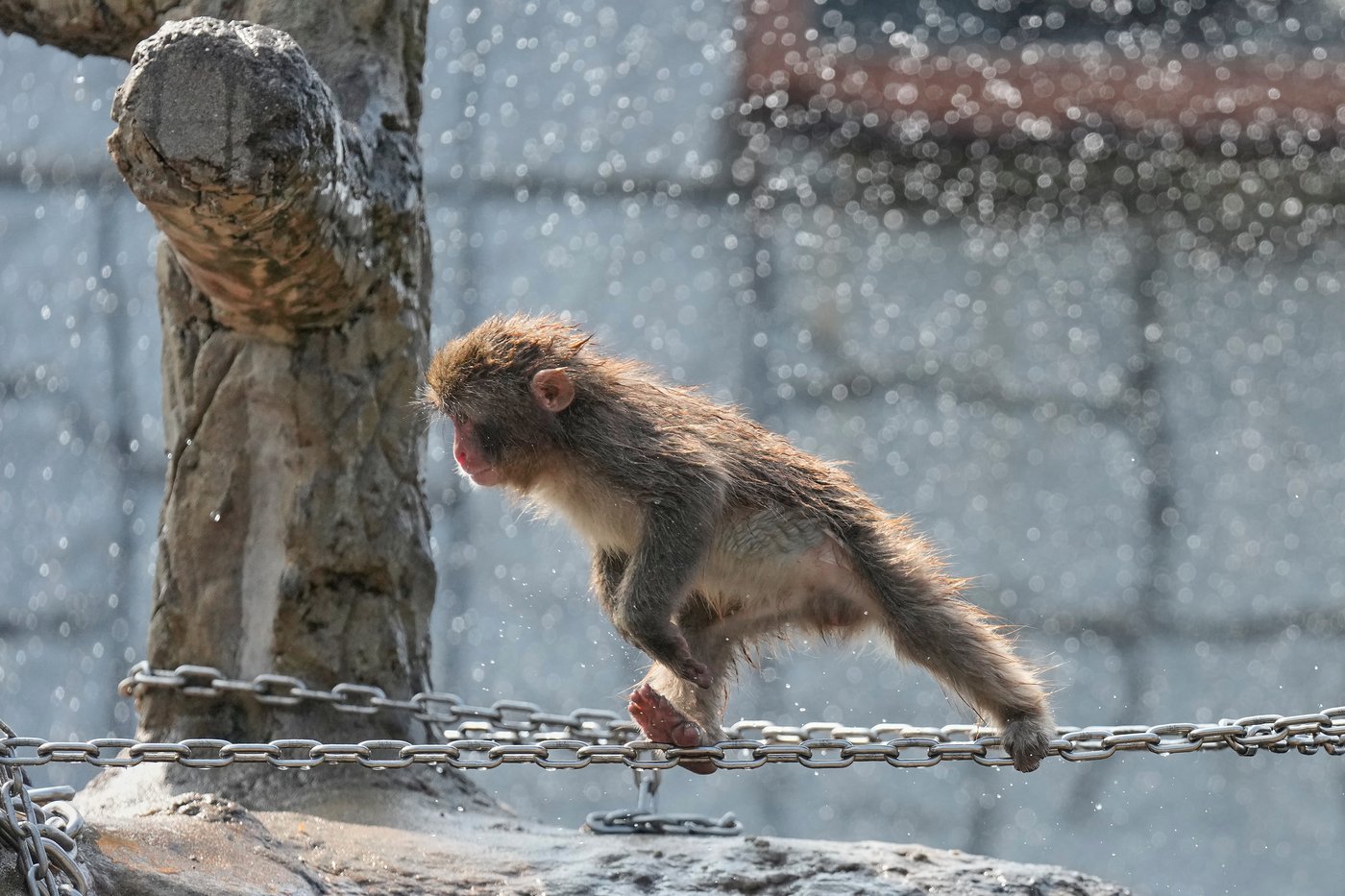 Major global news moments of July, in AP photos | iNFOnews.ca