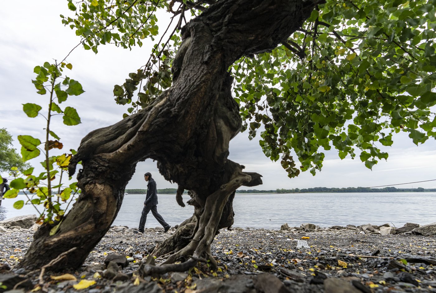 Low water levels in Quebec rivers spur navigation warnings, watering bans | iNFOnews.ca Low water levels in Quebec rivers spur navigation warnings, watering bans | iNFOnews.ca