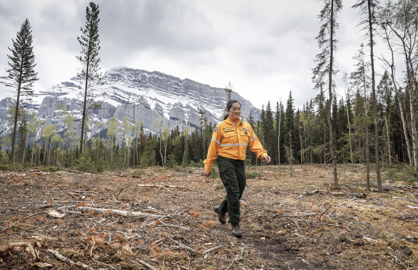 Logging, pruning and anxiety in Banff ahead of first summer since Jasper wildfire | iNFOnews.ca