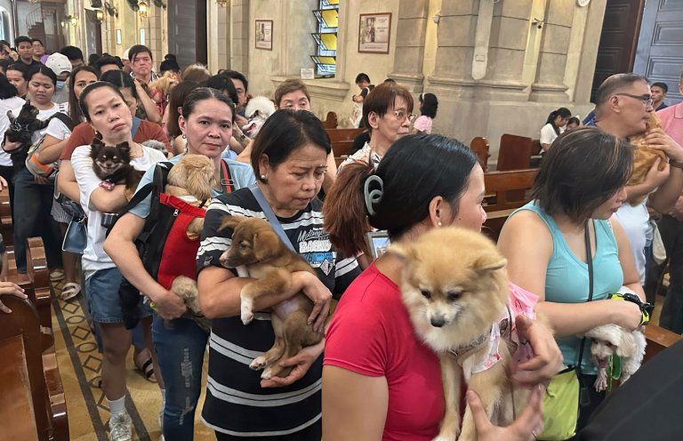 Wagging tails fill Malate Church as priests bless pets for St. Francis feast | iNFOnews.ca