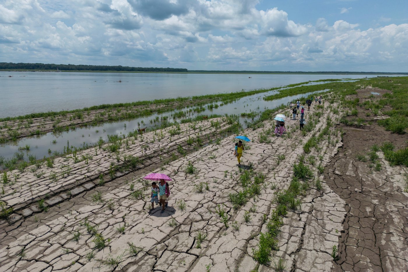 Colombia's presidential runoff could impact the future of the Amazon rainforest and fossil fuels | iNFOnews.ca