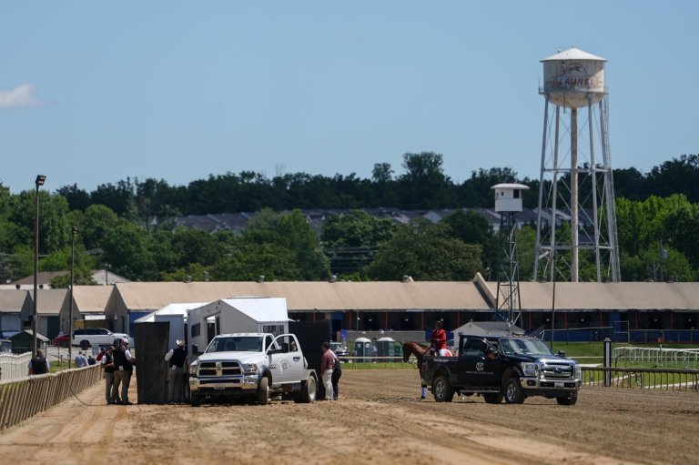 Colt making his racing debut dies after a race at Laurel, the day before the Preakness | iNFOnews.ca