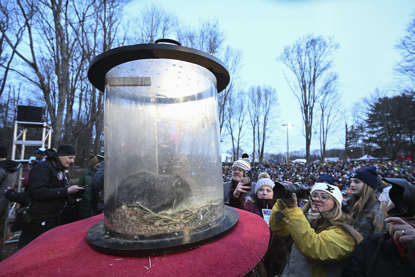 Punxsutawney Phil sees his shadow, handlers say, predicting 6 more weeks of wintry weather | iNFOnews.ca