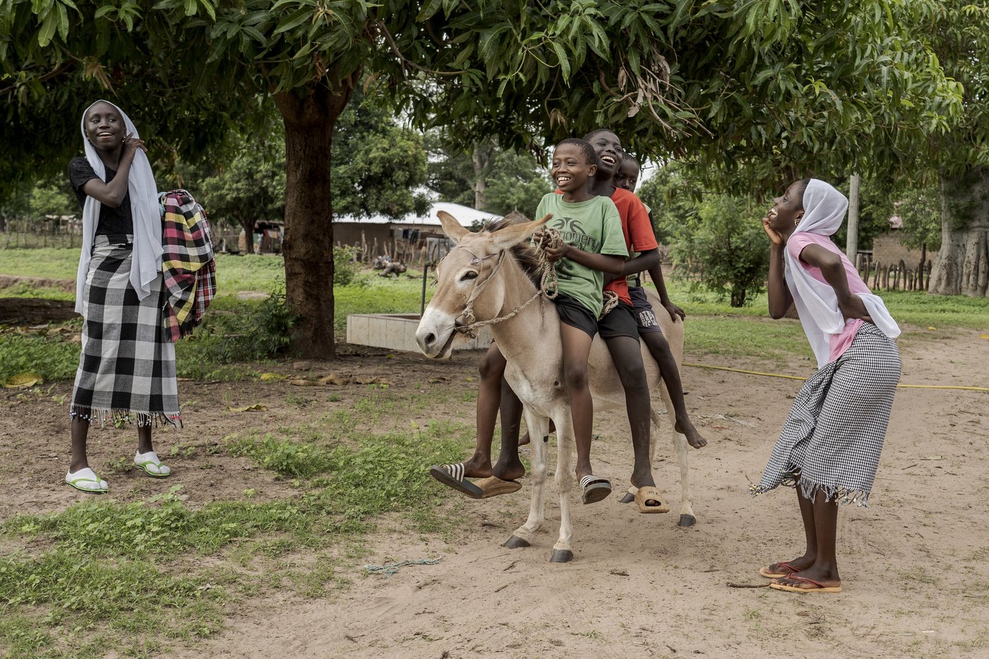 Money Gambians send home from Europe is a lifeline for their families but the sacrifices take a toll | iNFOnews.ca