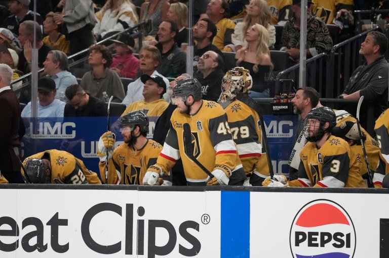 Golden Knights promote Ryan Craig to head coach from AHL | iNFOnews.ca