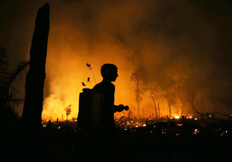Brazil investigates Amazon wildfires that disrupt daily life and have fueled political attacks | iNFOnews.ca