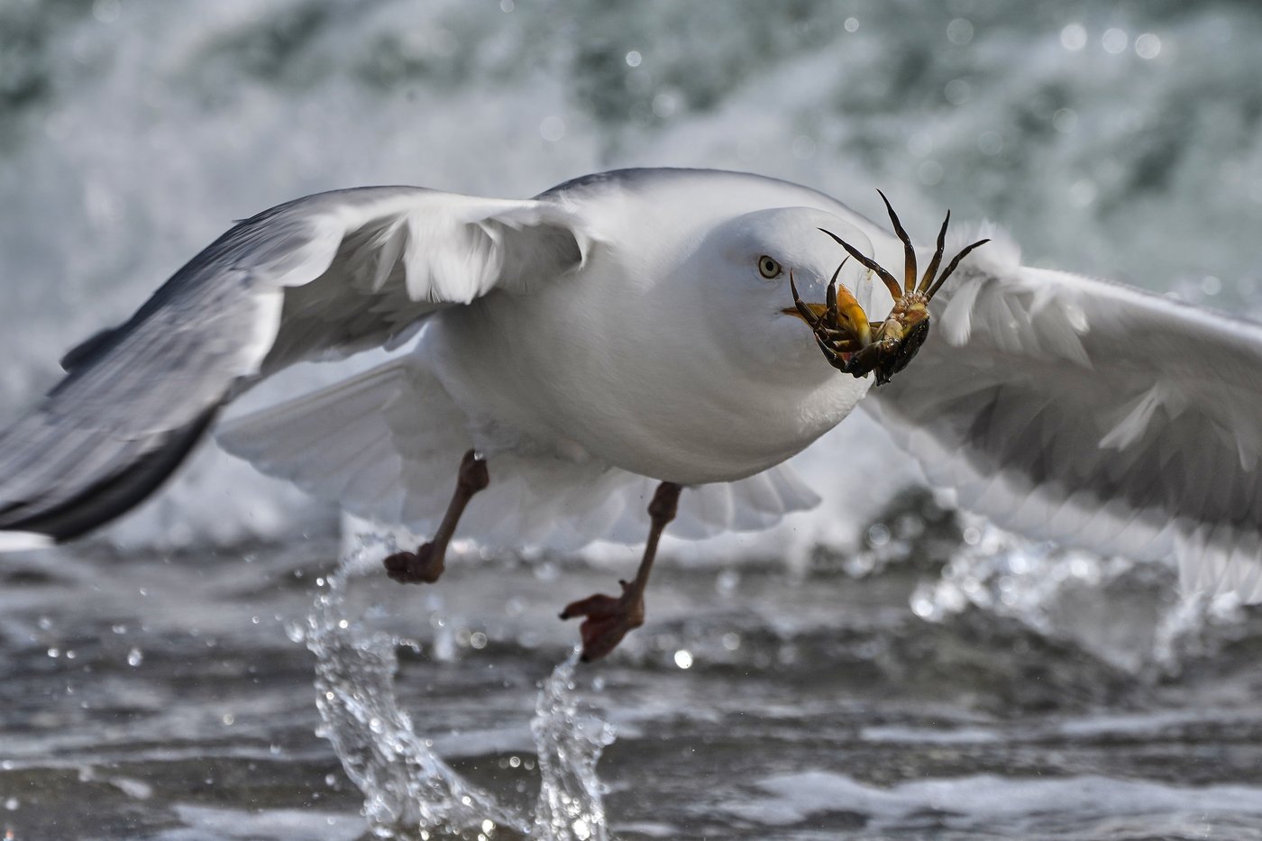 The top photos of the day by AP's photojournalists | iNFOnews.ca