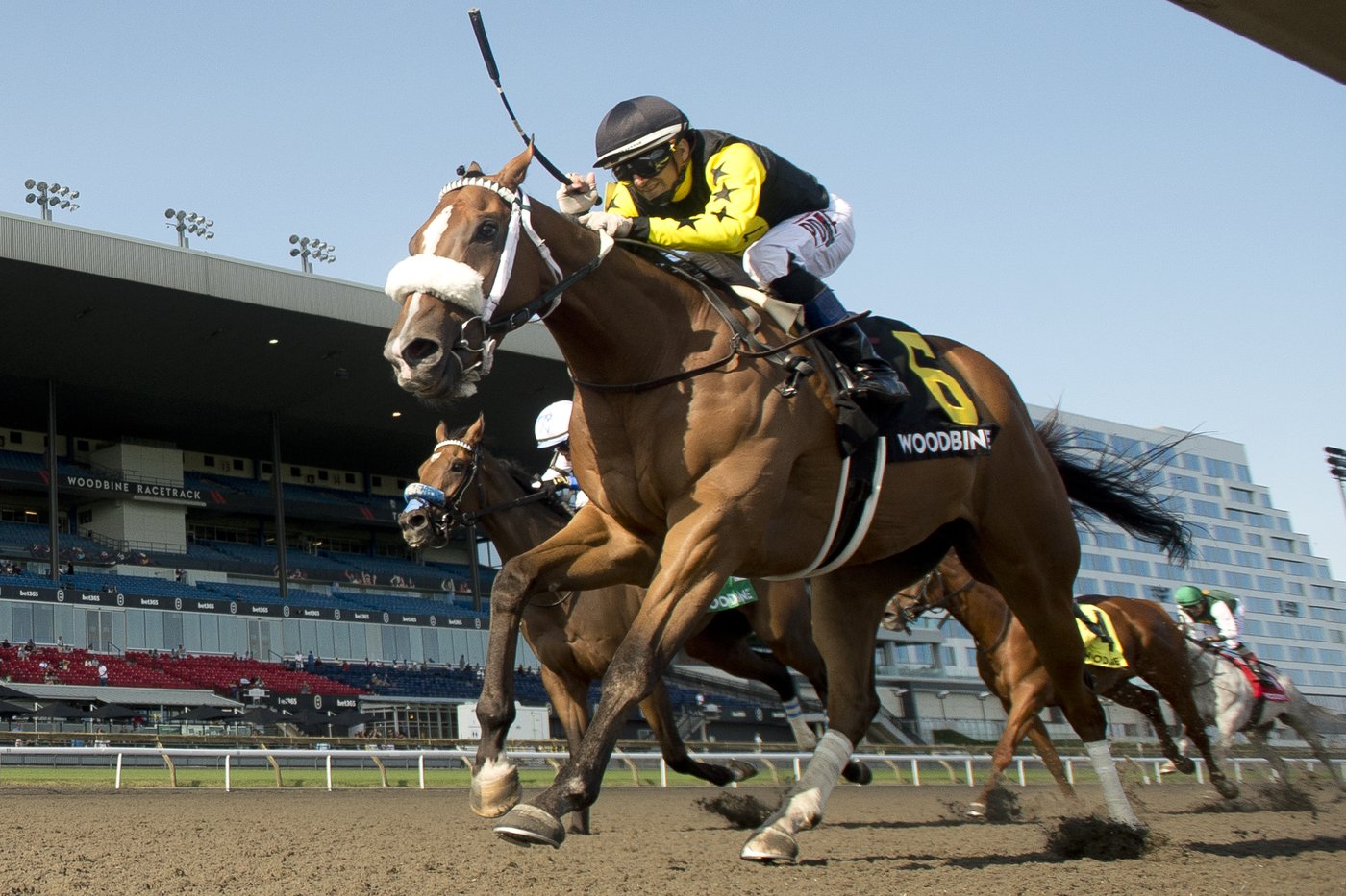 Luster captures $750,000 Woodbine Oaks, Highwaytothemoon wins $200,000 Plate Trial | iNFOnews.ca Luster captures $750,000 Woodbine Oaks, Highwaytothemoon wins $200,000 Plate Trial | iNFOnews.ca