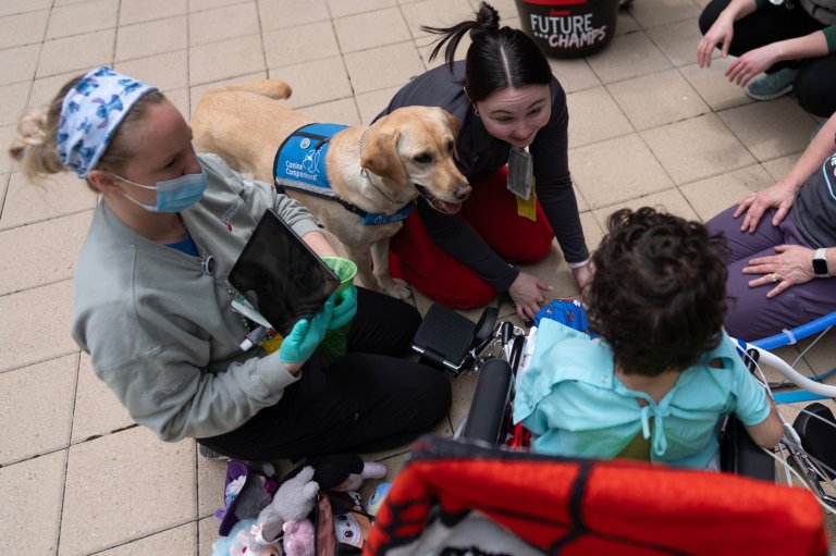 Healing with a wag and a nuzzle, meet the dogs brightening hospital days, in photos | iNFOnews.ca