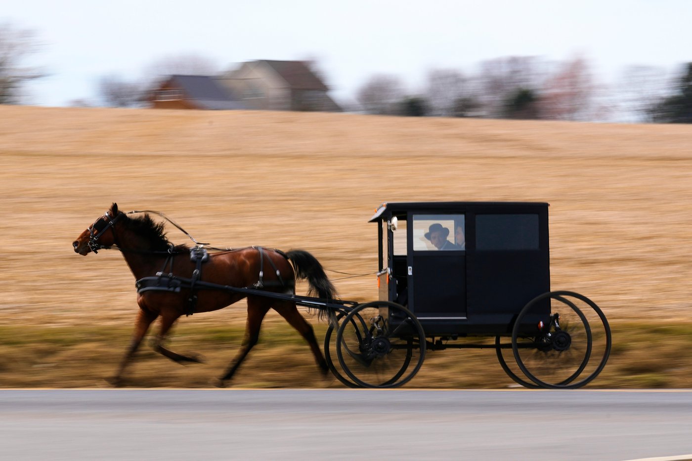 How an Orthodox Jewish scholar found an unexpected home among the Amish | iNFOnews.ca