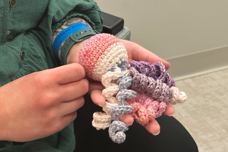 Mom of a preemie crochets colorful yarn octopi for tiny tots at Detroit hospital NICU | iNFOnews.ca