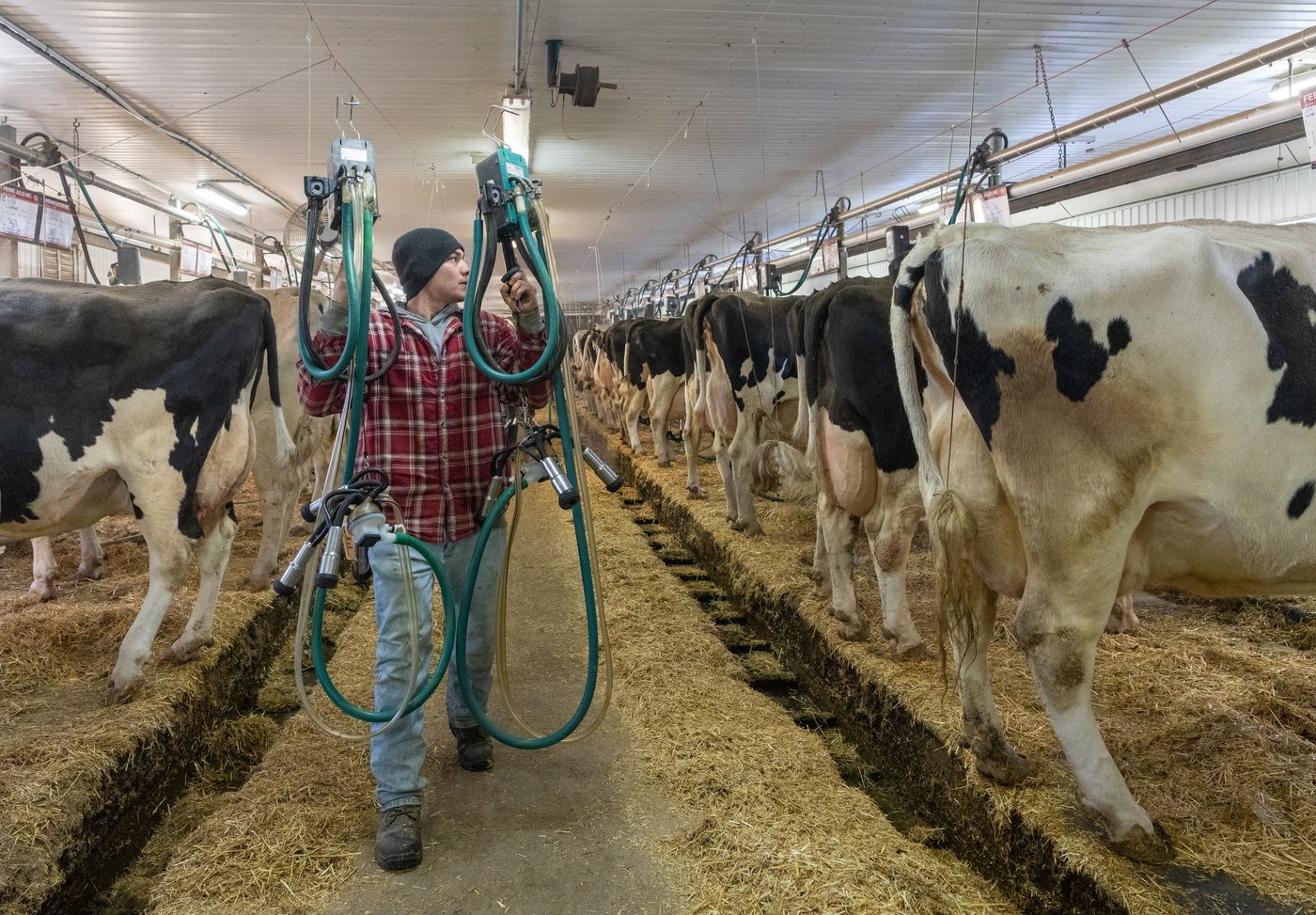 In the news today: What we know about Hentavirus, Artemis crew meet PM, 6% milk? | iNFOnews.ca In the news today: What we know about Hentavirus, Artemis crew meet PM, 6% milk? | iNFOnews.ca