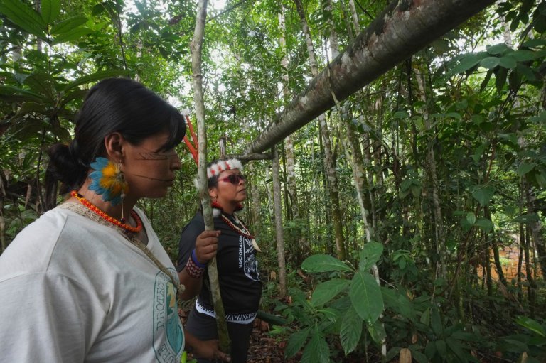 Indigenous women tour Ecuador oil field as warning against Amazon drilling expansion | iNFOnews.ca