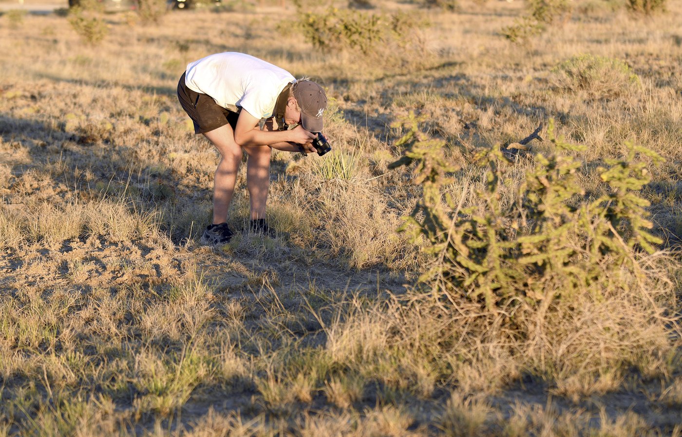 Spider lovers scurry to Colorado town in search of mating tarantulas and community | iNFOnews.ca Spider lovers scurry to Colorado town in search of mating tarantulas and community | iNFOnews.ca