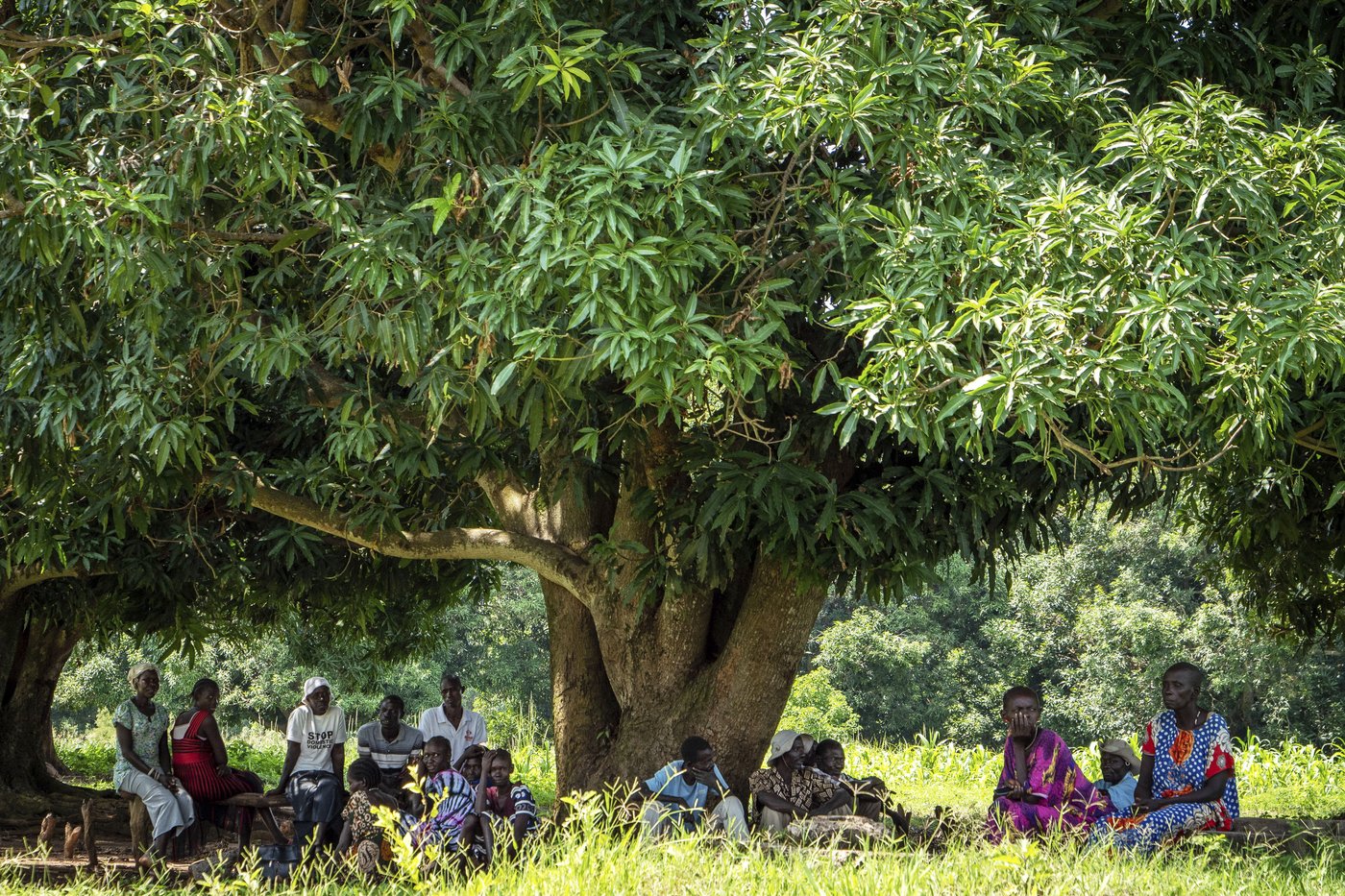 Mental health clinics in violence-prone South Sudan are rare and endangered | iNFOnews.ca