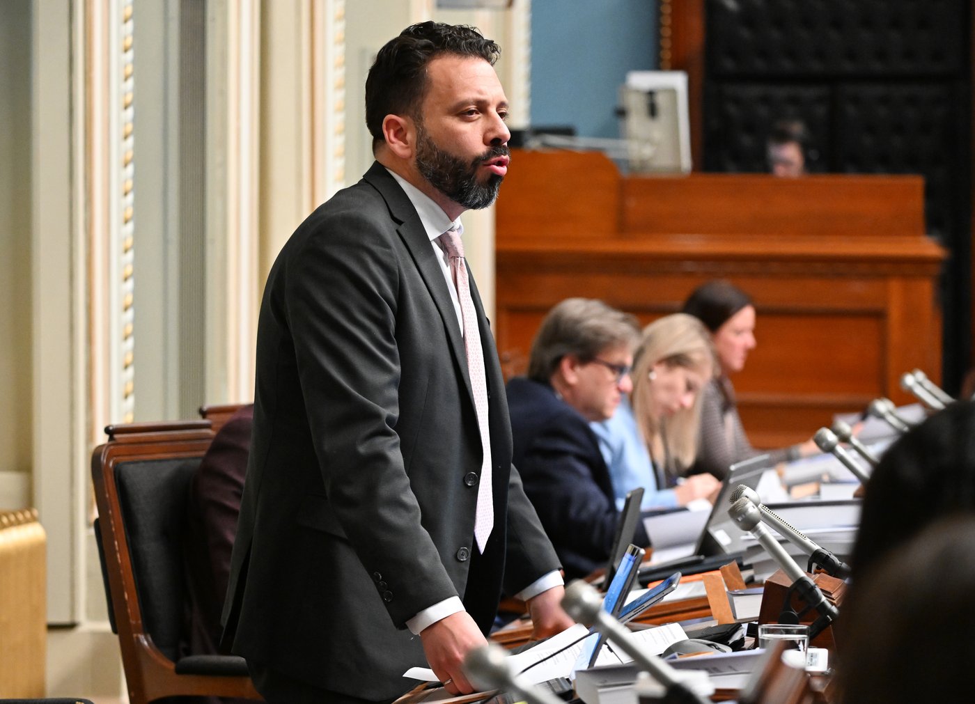 Québec solidaire member faces rebuke for saying fellow politicians target minorities | iNFOnews.ca Québec solidaire member faces rebuke for saying fellow politicians target minorities | iNFOnews.ca