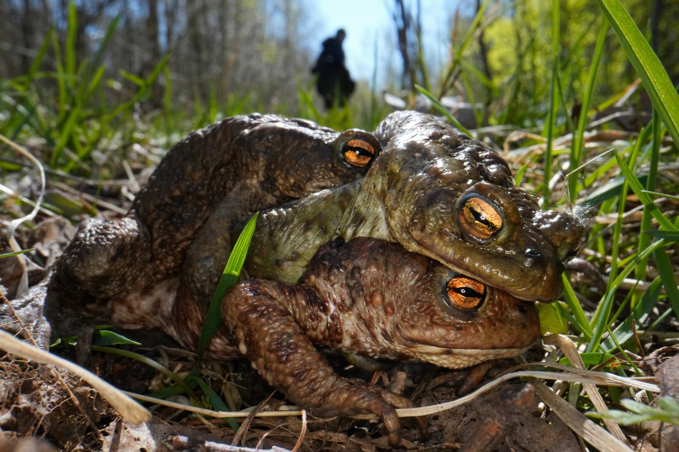 The top photos of the day by AP's photojournalists | iNFOnews.ca