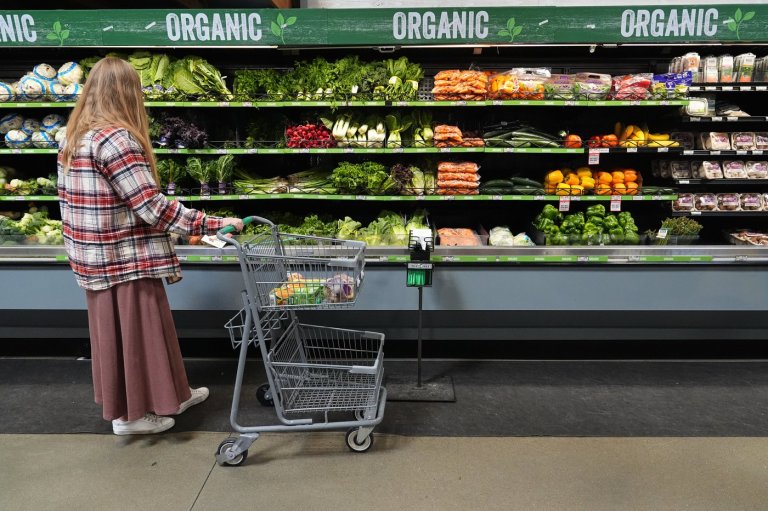 What to know about the status of SNAP food aid as a vote nears to end the shutdown | iNFOnews.ca
