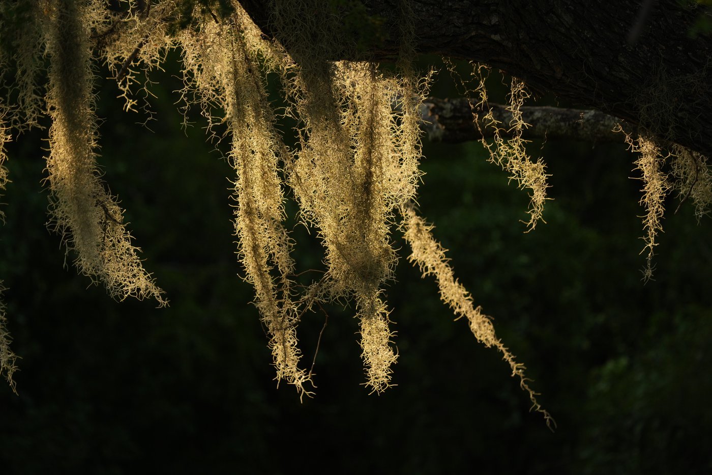 PHOTO ESSAY: Border wall cuts through wildlife refuge | iNFOnews.ca PHOTO ESSAY: Border wall cuts through wildlife refuge | iNFOnews.ca