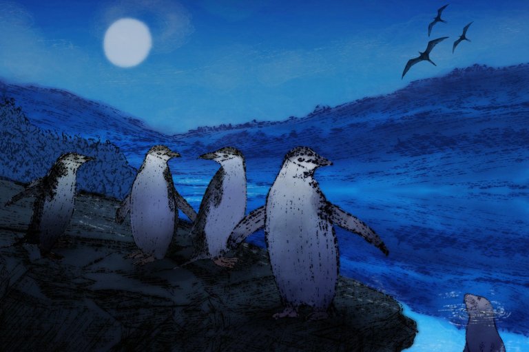 Nodding off is dangerous. Some animals have evolved extreme ways to sleep in precarious environments | iNFOnews.ca